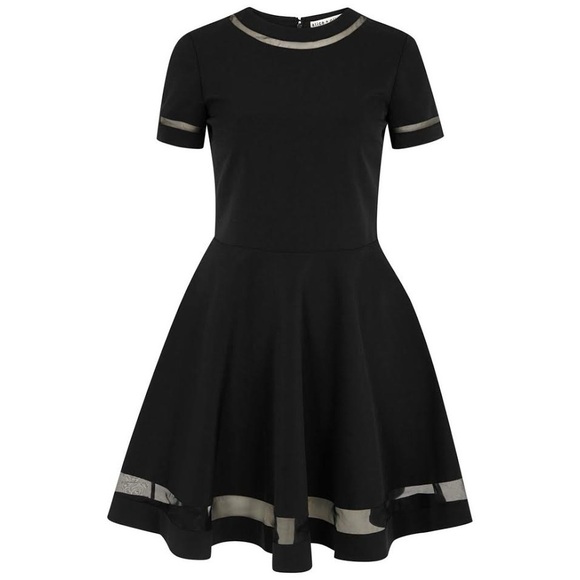 Alice + Olivia Frances Mini Flared Dress - Picture 4 of 12